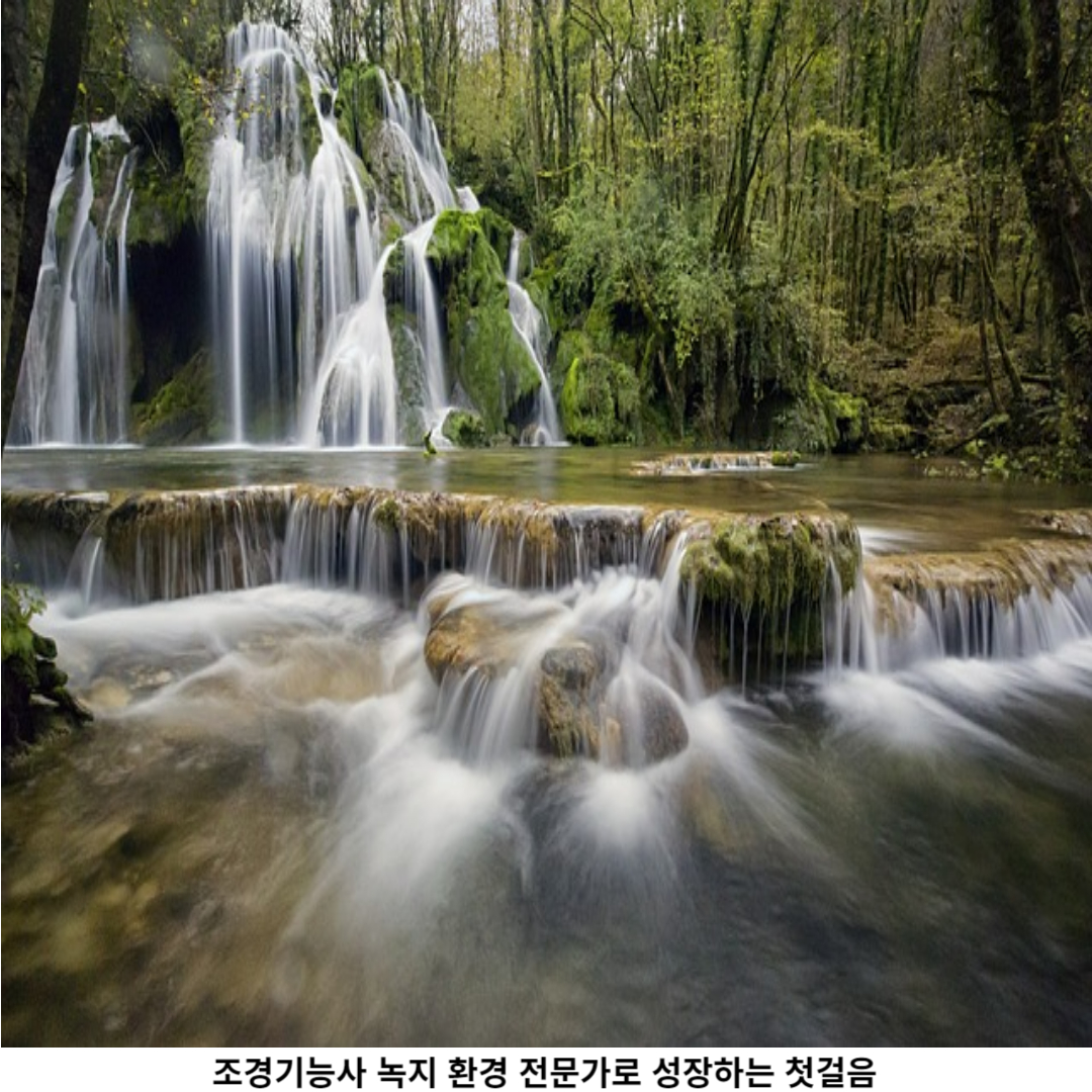 조경 분야의 중요성과 미래