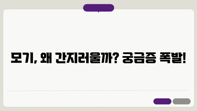 모기 간지럽힌 이유