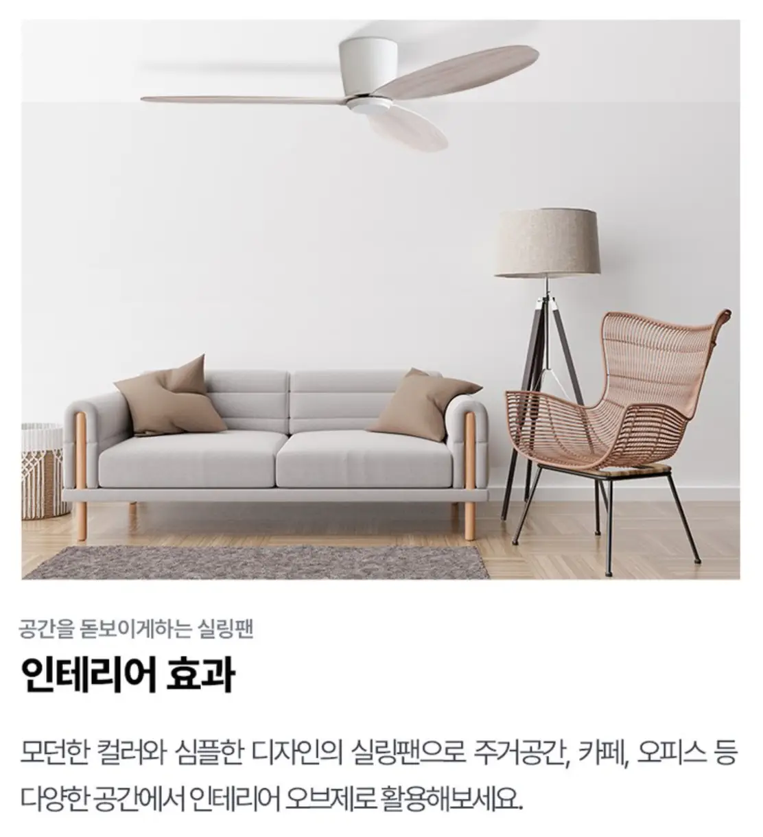 사진23