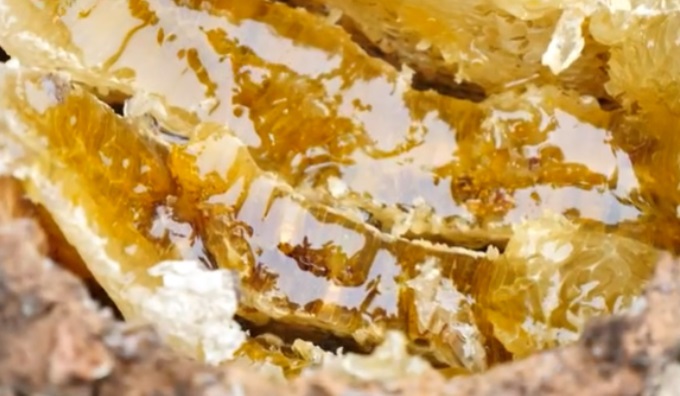 6시내고향-강원-인제-벌꿀