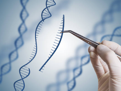 유전자 교정 기술: CRISPR-Cas9의 발전과 미래 가능성