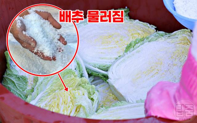 김장 김치 맛있게 담는 법,배추가 물러지는 이유,중국산 소금