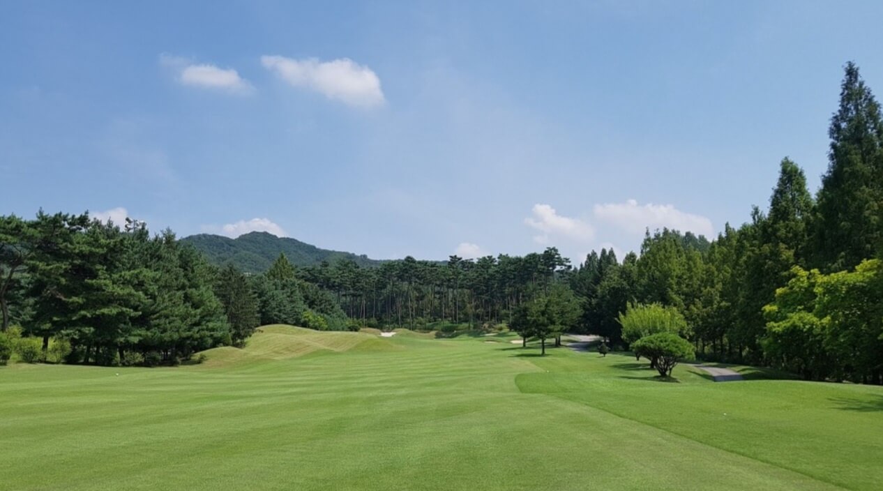 2025 하이트진로 챔피언십 무료티켓&middot;주차&middot;갤러리 총정리