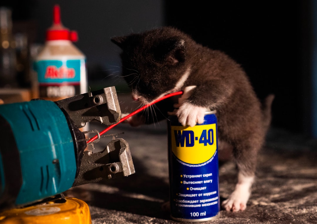 Fixing method