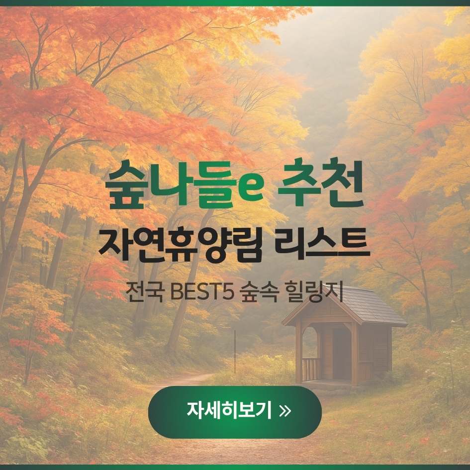 2025 숲나들e(숲나들이) 예약방법 안내 이미지|산림청 자연휴양림 및 캠핑장 예약 가이드