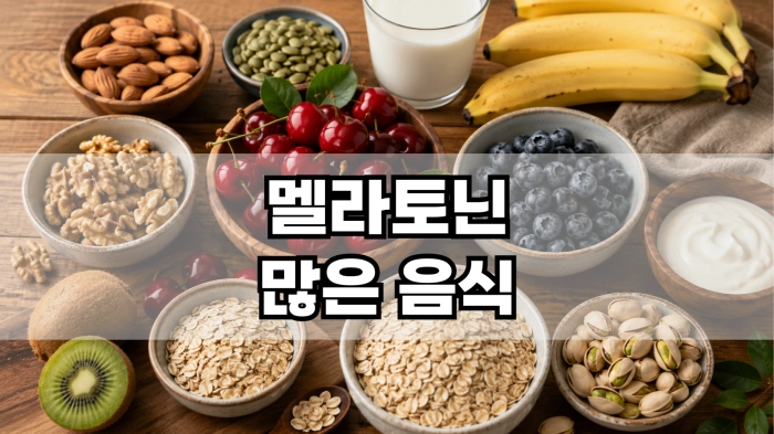 멜라토닌 많은 음식
