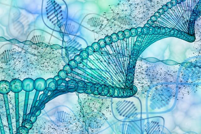 신체 노화를 막는 단 하나의 유전자, FOXO3의 비밀