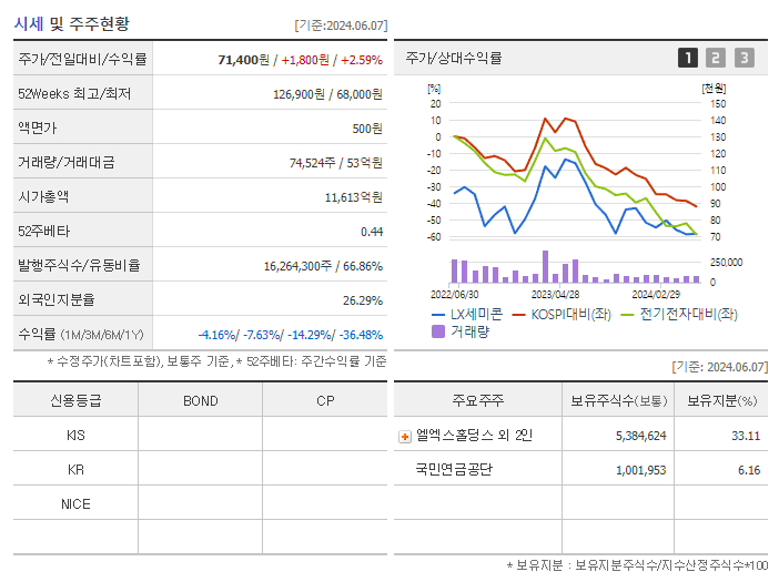 LX세미콘_기업개요