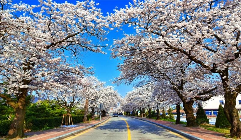 정읍 가볼만한곳 베스트10