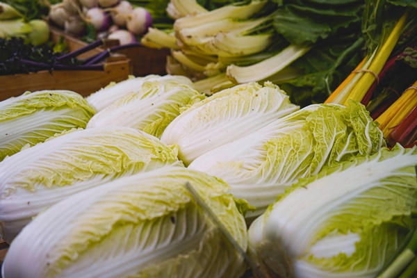 음식물 쓰레기 종류 구분하기&amp;#44; 김장배추 무 남은 찌꺼기