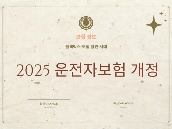 블랙박스 보험할인 시대, 2025 운전자보험 개정 필수 점검