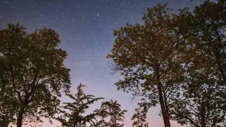 고창 청보리밭축제 주차장, 입장료, 프로그램