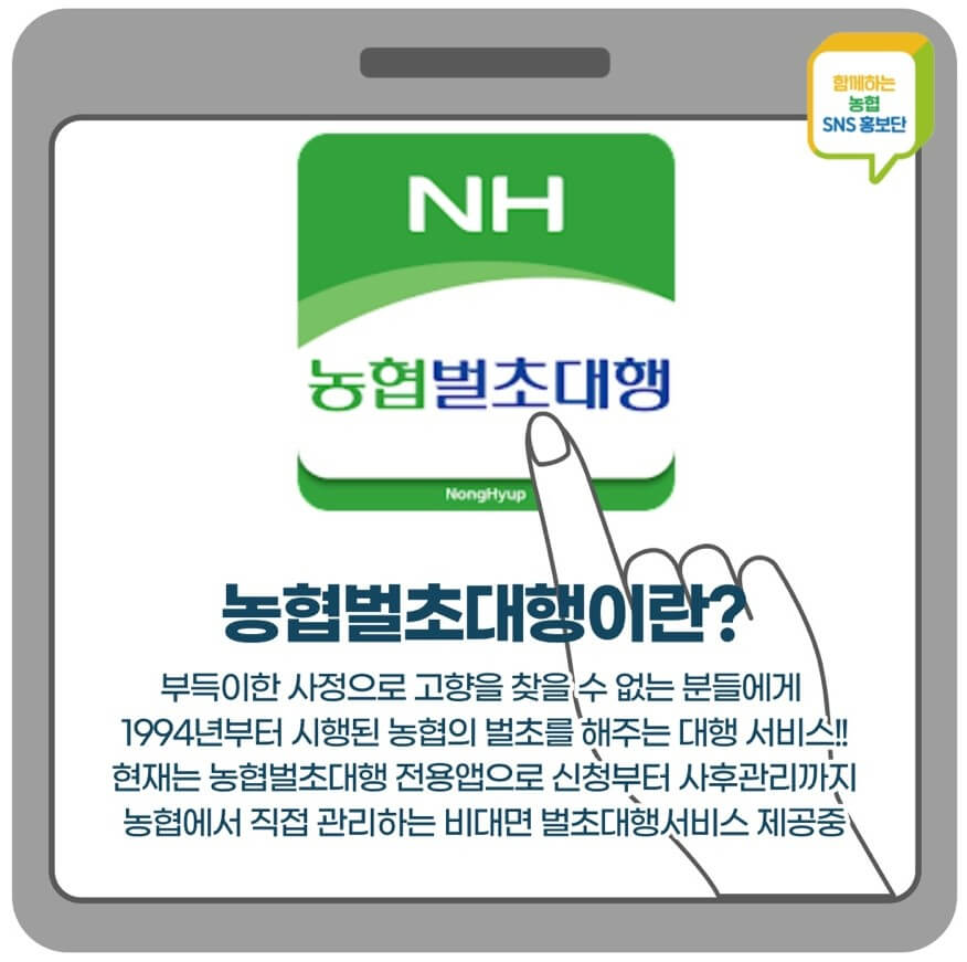 농협 벌초 대행