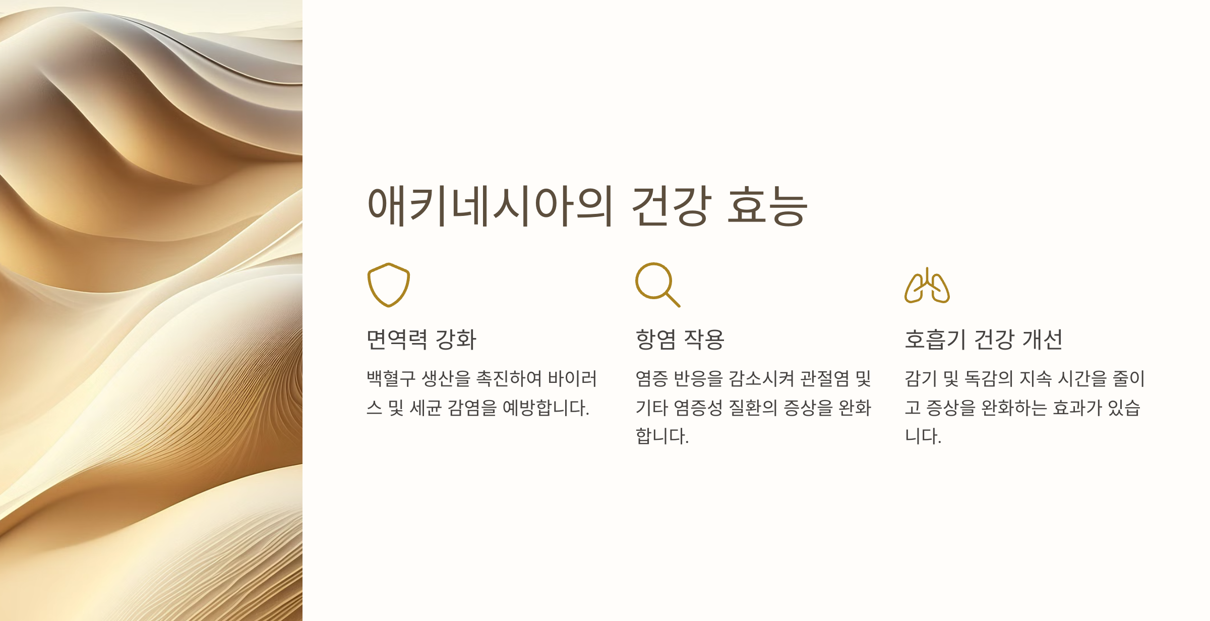 에키네시아꽃-사진