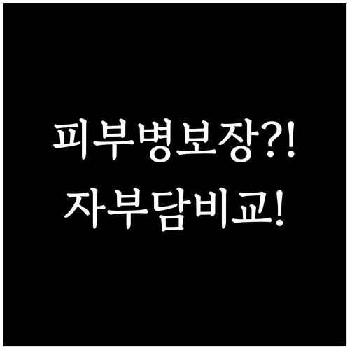 반려견 피부병 보험 가이드 없이 보장..