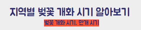 지역별 벚꽃 개화 시기
