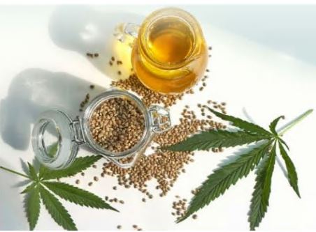 대마 종자유 효능