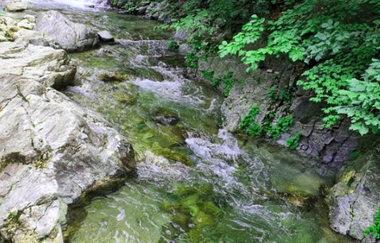 화천 비수구미 계곡