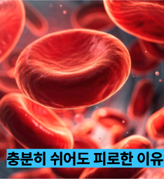 비타민b12 이미지