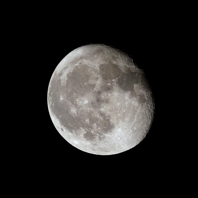 네이토닌 주요 효과 및 성분 정보를 한눈에_6