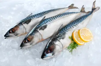 고등어 가격 및 효능, 영양성분과 주의점