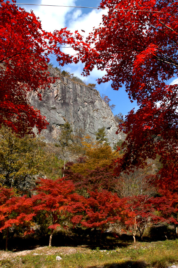 전라도-가을여행지-추천-순창-강천산