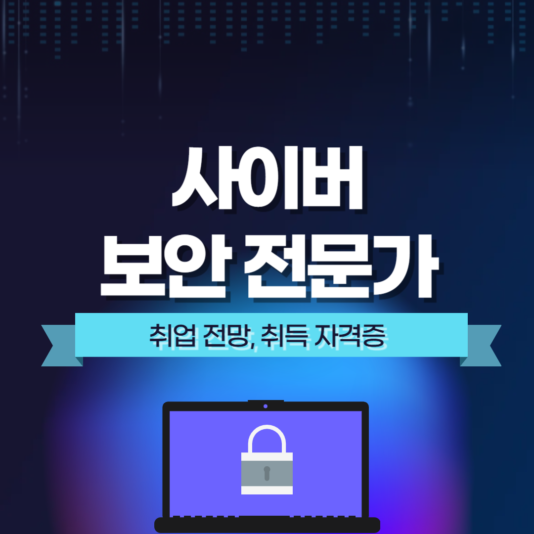 사이버 보안 전문가