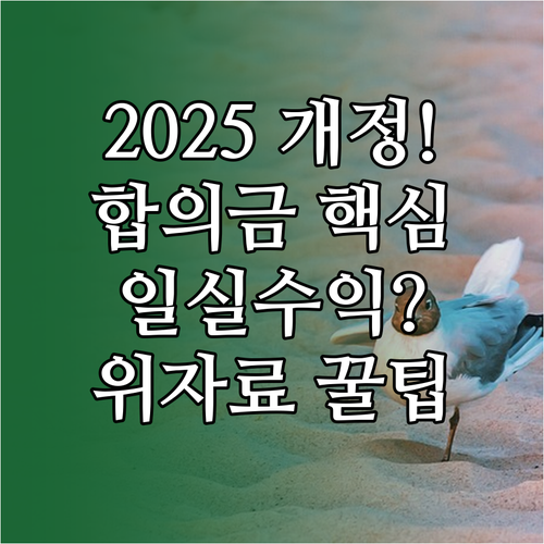 교통사고 합의금 2025 개정 FAQ..