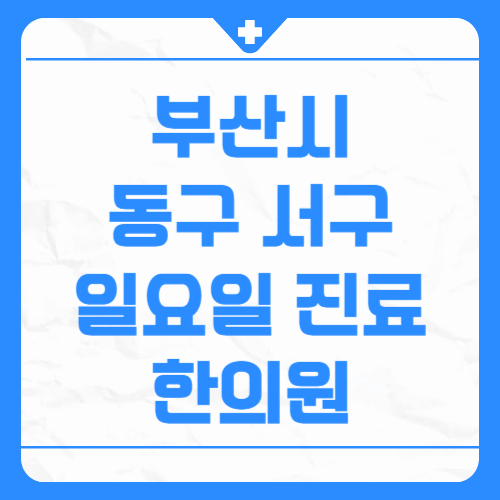 부산시 동구 서구 일요일 진료 한의원