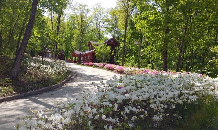 국립자연휴양림