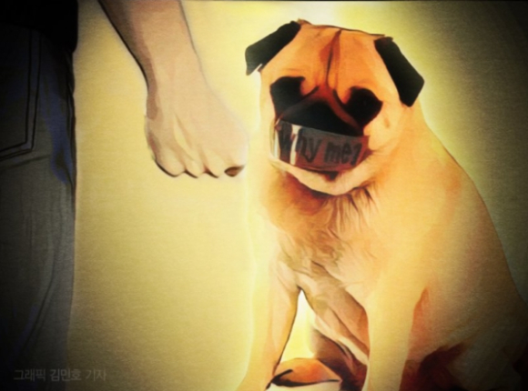 경남 김해의 한 원룸에서 부패한 반려견 사체 4구가 발견돼 경찰이 수사에 나섰다. 본 기사와 무관한 이미지. [사진=뉴시스]