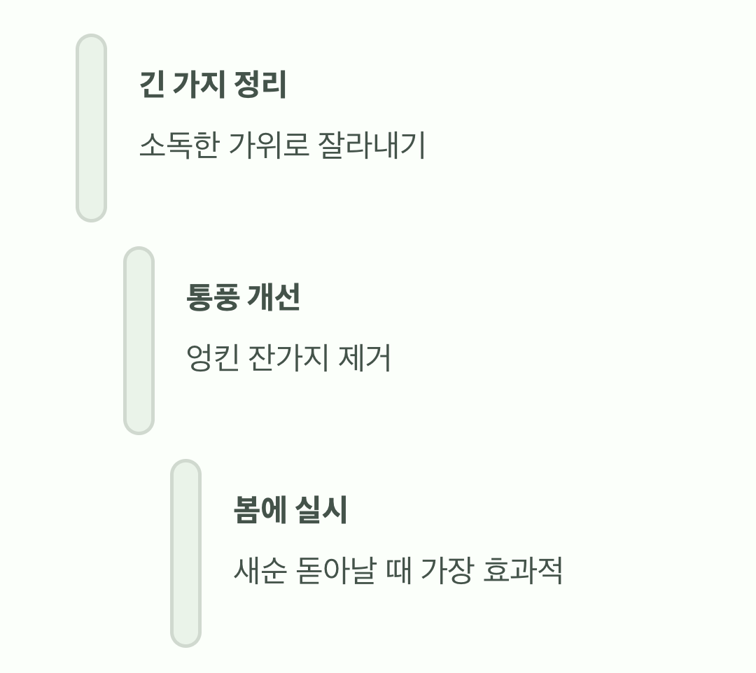 4. 가지치기, 예쁜 수형을 위한 선택