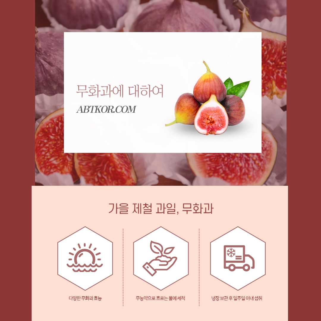 무화과 영양성분, 효능, 씻는 법과 보관 방법