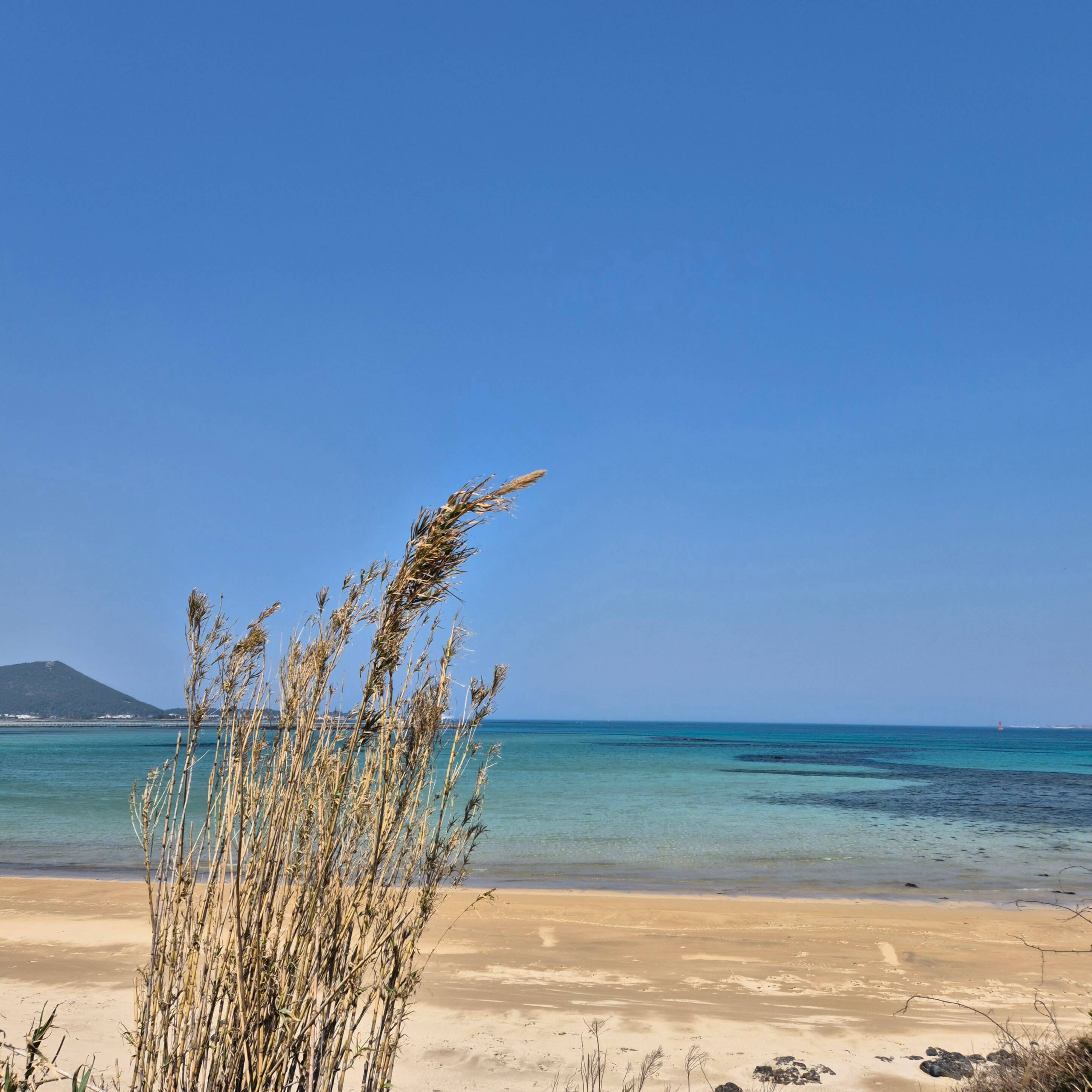 발기부전 치료방법