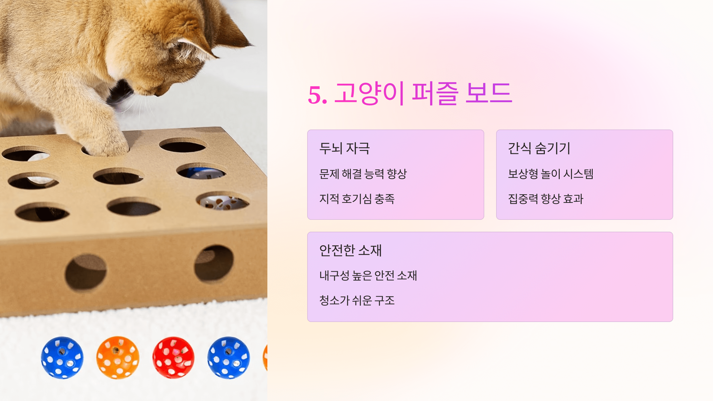 혼자 놀기 좋은 고양이 장난감 추천