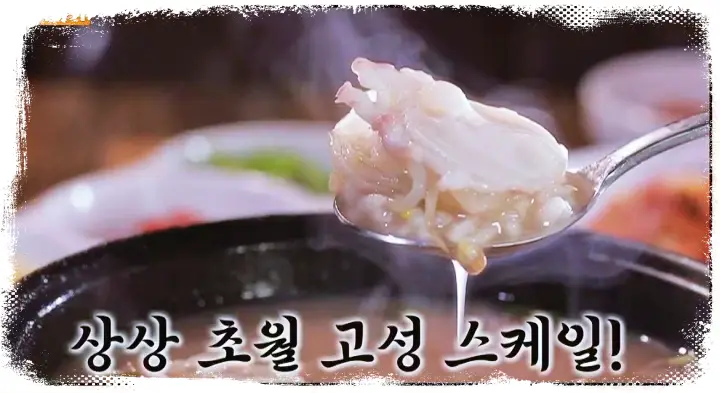 식객 허영만 백반기행 류진 낚시로 잡은 참문어 대문어 요리 문어숙회 문어전 문어초회 문어 국밥 강원도 고성 맛집 소개