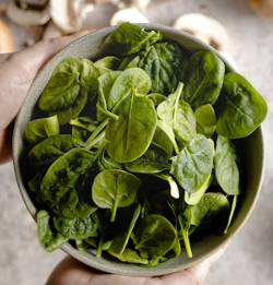 시금치 효능 부작용 고르는법 칼로리