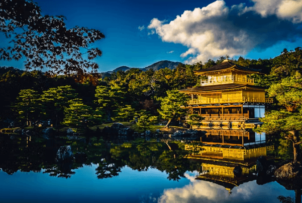 오사카 &교토 여행 완벽 가이드: 놓칠 수 없는 필수 코스