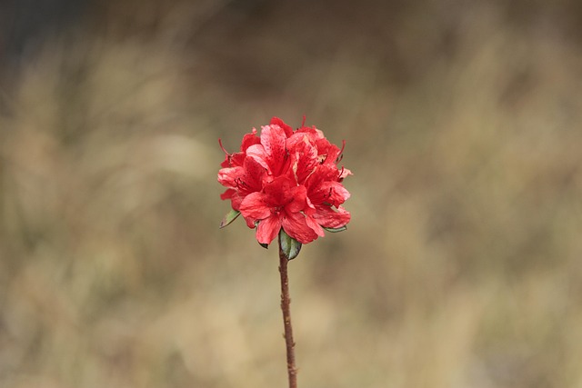 해돋이 명소 추천 BEST 5