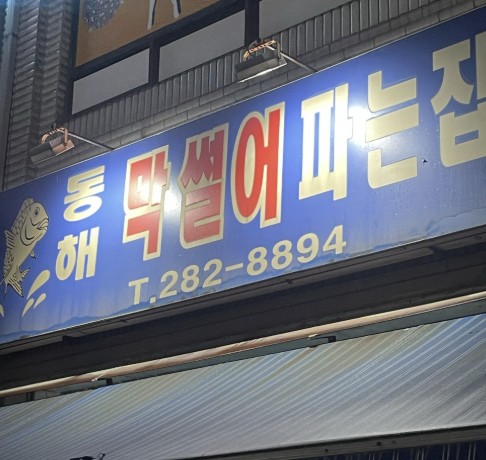 포항 대방어회 맛집 &amp;#124; 6시 내고향 방송 나온 &amp;lt;동해 막썰어파는집&amp;gt; 