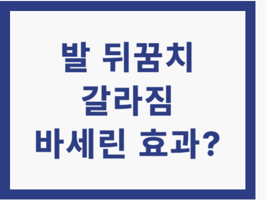 발뒤꿈치 갈라짐 바세린