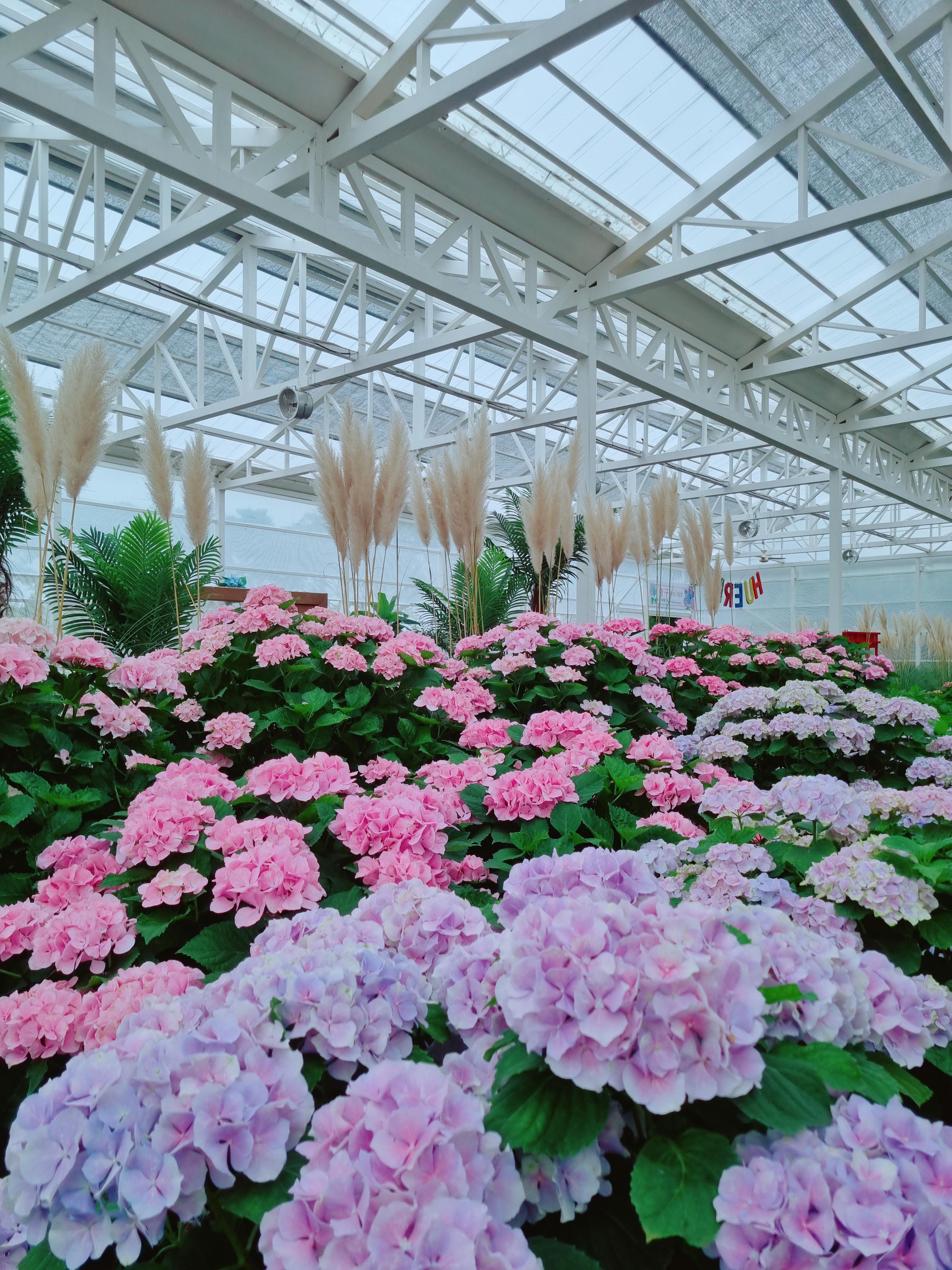 휴애리 자연생활공원