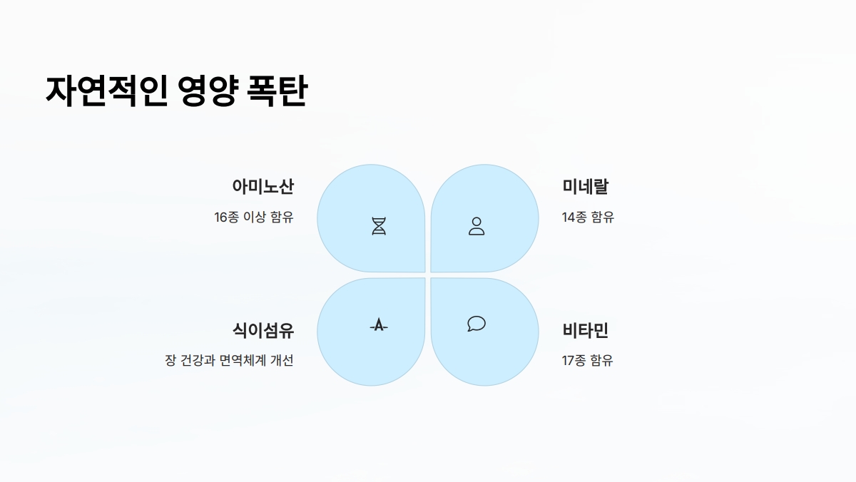 맥주효모 효능