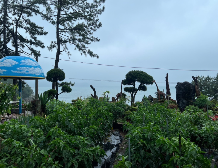 솔고지펜션 정보 안내