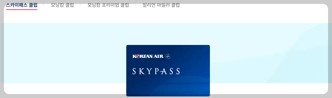 스카이패스 마일리지 조회