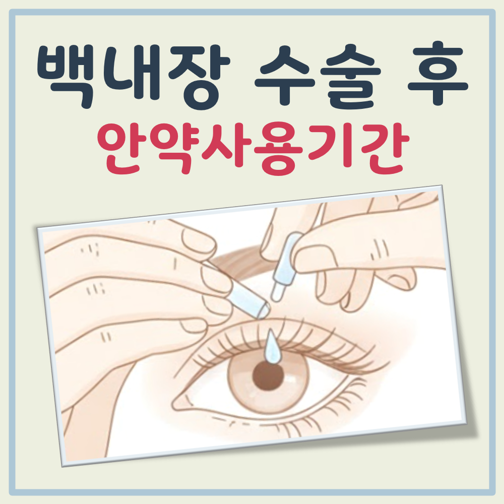 백내장 수술후 안약사용기간