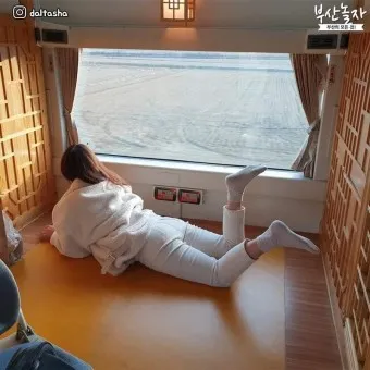 서해금빛열차 예약 온들 가격 시간표 노선_19