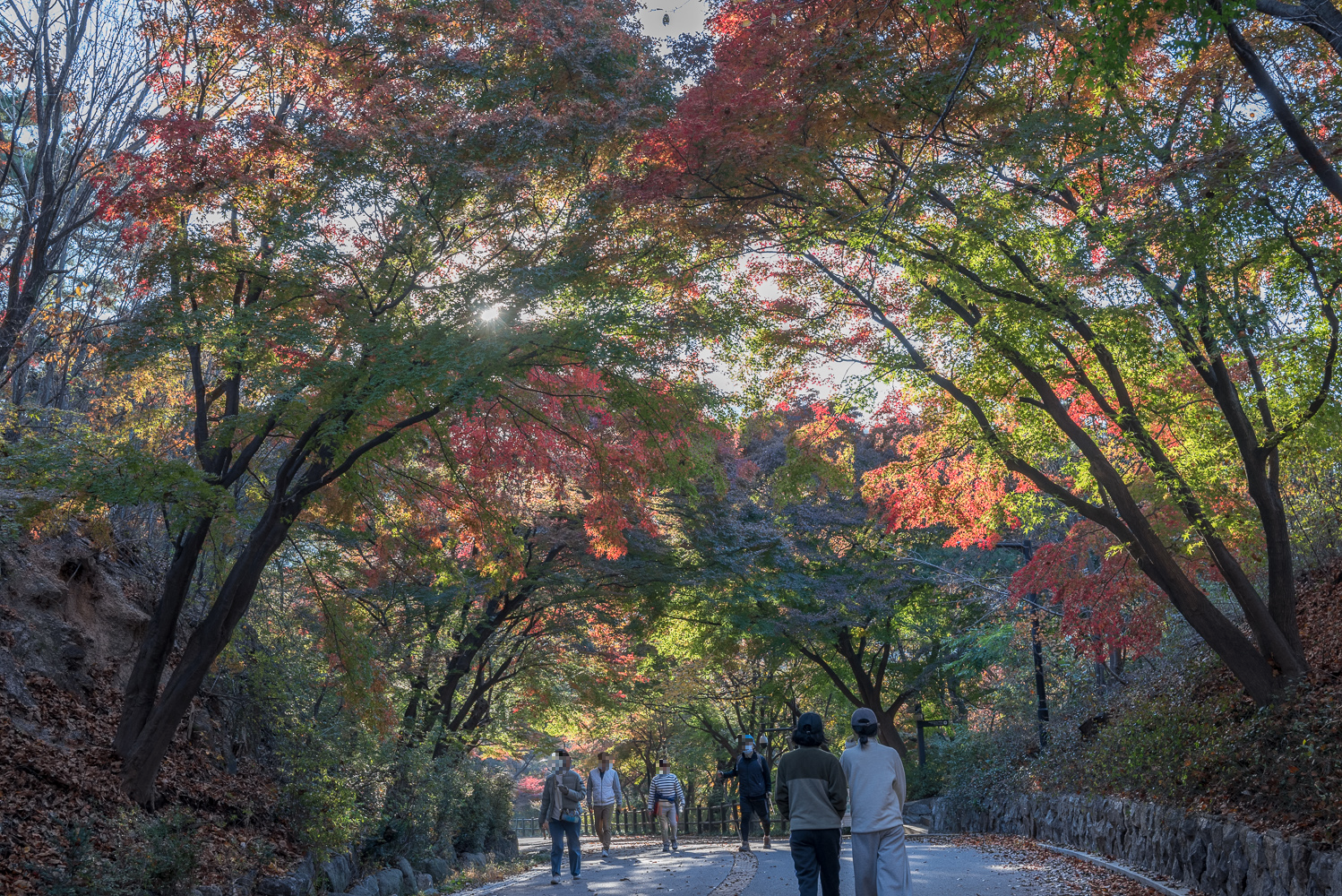 남산둘레길 북측순환로 단풍