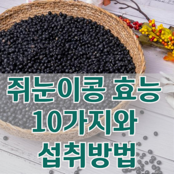 쥐눈이콩 효능