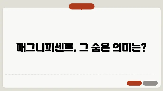 매그니피센트한 여행